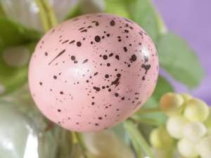 Wholesale sprigs eggs berries