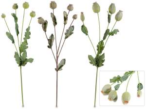 Wholesale poppy seeds branches