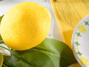 vente en gros scellant pour paquets de citron