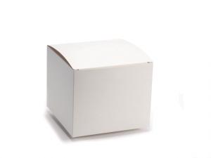 Ivory packaging boxes wholesalers