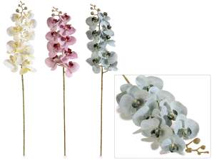 Wholesale orchid branches