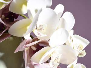 Großhandel mit Orchideenzweigen