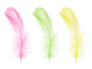 vente en gros plumes colorées décoratives