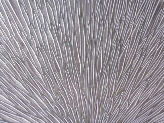 Mantel individual redondo tallado color plata