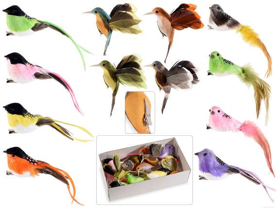 Caja de 12 pájaros con clips metálicos.