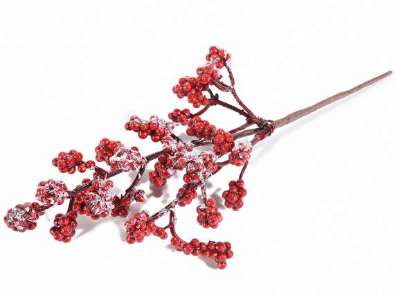 Snow-covered sprig of red berries