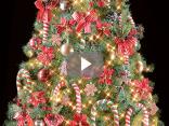 Candy Christmas : décorations et poinsettias