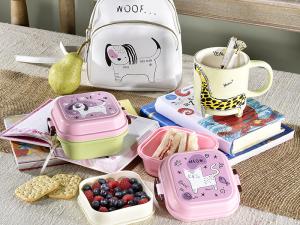 Snack box and lunch box