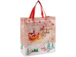 20L non-woven fabric bag with Christmas print