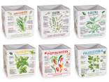 Jarrón cerámica decoraciones plantas aromáticas y escritos