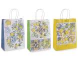 Medium paper bag / envelope with handles and citrus print