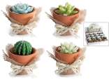 Succulent plant candle in terracotta pot and jute packaging