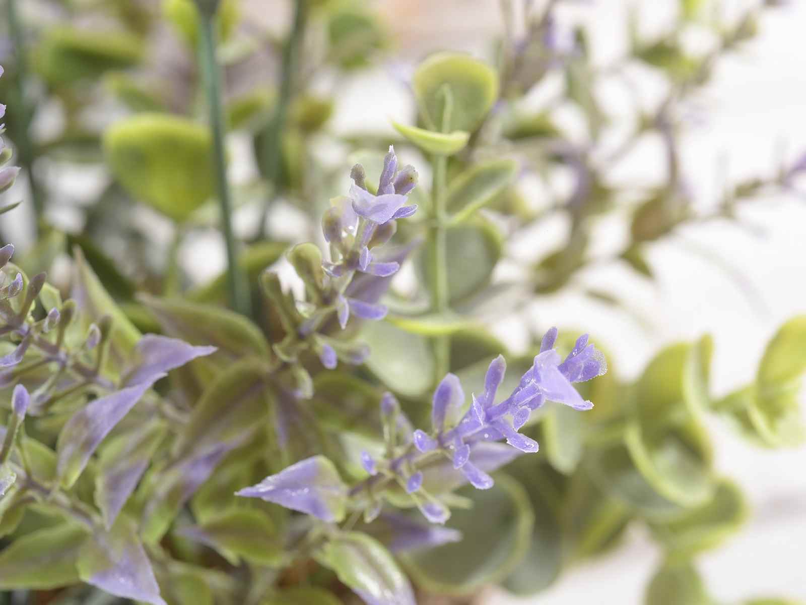 Lavanda artificiale decorativa in vaso di carta - Caravanbacci