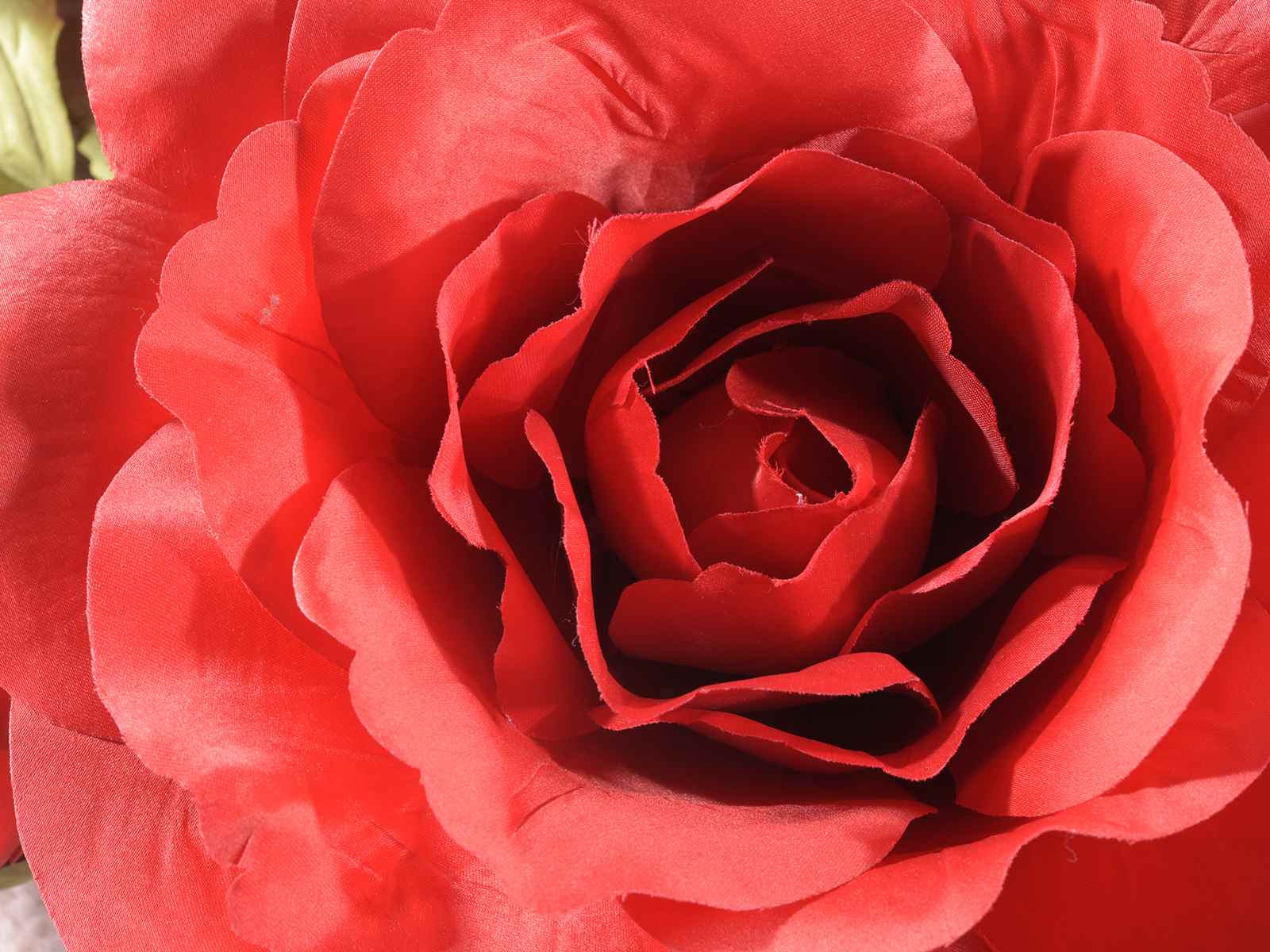 Rose géante en tissu rouge avec bourgeons (56.42.92) - Art From Italy
