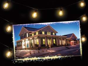 Wholesale outdoor garden led lights chain