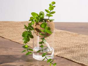 wholesale glass vase hydro culture