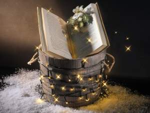 Wholesaler of 100 LED string lights