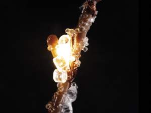 ingrosso labero natale rami luci