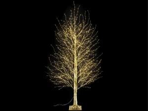 ingrosso alberi rami luminosi bianco caldo