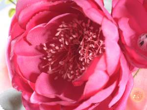 Ingrosso anemone artificiale stoffa