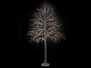 branches de sapin de Noël et guirlandes lumineuses