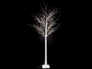 branches de bouleau brillantes en gros