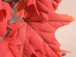 Wholesale decorative autumn leaves wreath