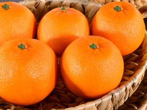 wholesale decorative orange showcase