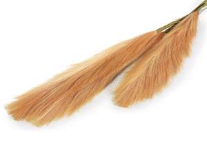thicken gynerium twigs