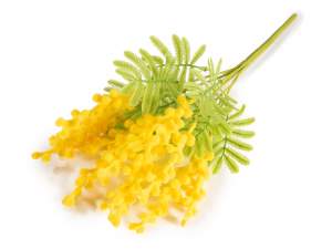 wholesale mimosa for women's parties