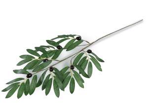wholesale olive branch black olives