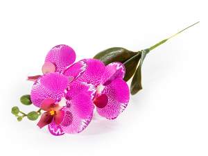 wholesale artificial orchid branch