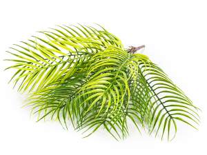 wholesale artificial palm leaves