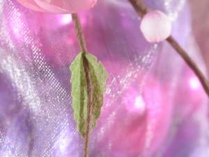 wholesale pick peach twig
