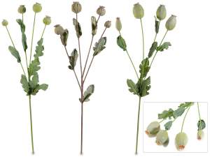 Wholesale poppy seed branches