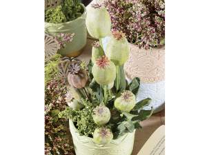 Wholesale poppy seed branches