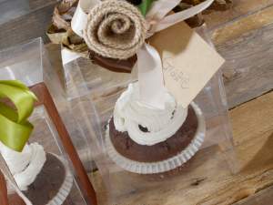 grossiste de boîtes carrées en PET