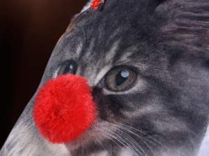 sacs pour bouillottes en gros animaux