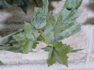 vente en gros bouquet de feuilles de vigne artific