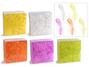 Colored feather boxes