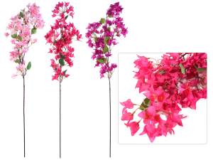 Vente en gros branche de bougainvilliers