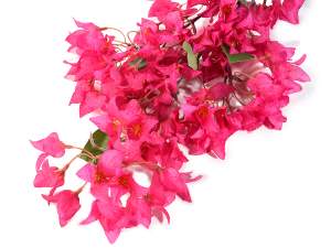 Vente en gros branche de bougainvilliers