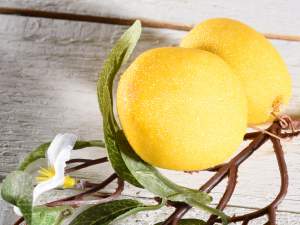 Vente en gros brins de fleurs de citron