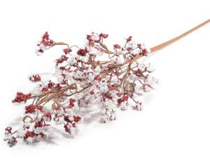 Branche grossiste Noel baies rouges