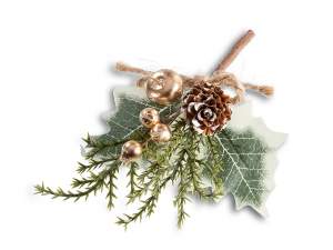 en-gros cutie cadou buchet Holly