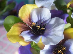 Wholesale bouquet of pansies