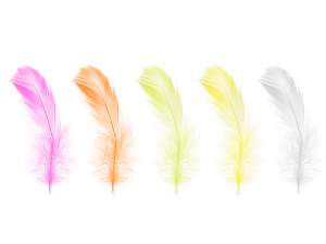 Cajas de plumas de colores