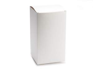 Wholesale packaging boxes