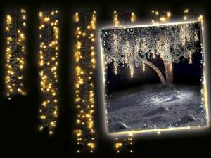 Grossista luci 6 fili 480 led bianco caldo