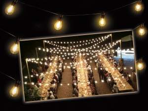 Ingrosso catena luci led giardino esterno
